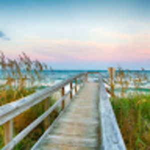 Meet your Posher, Rose